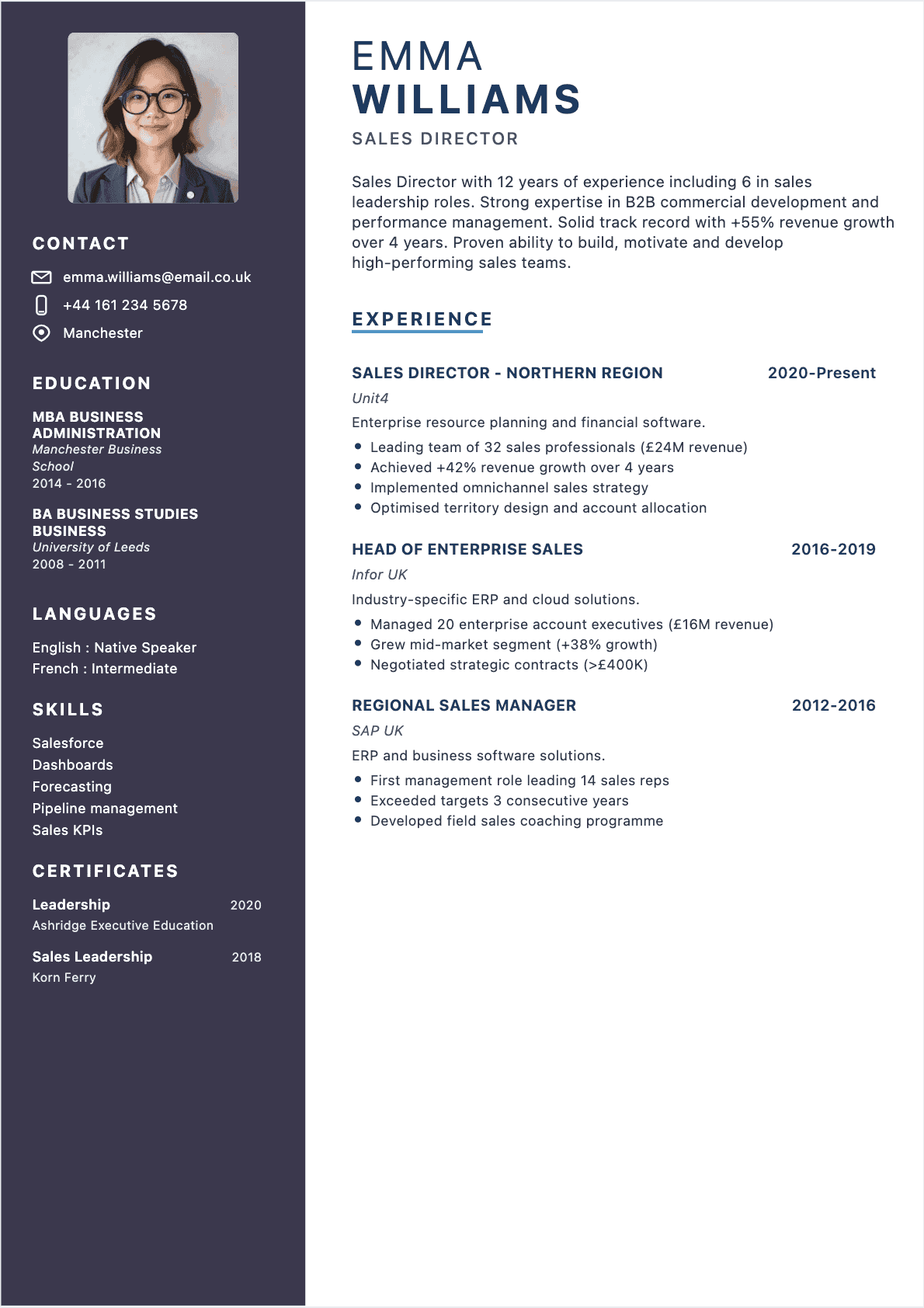 Sales Director resume example