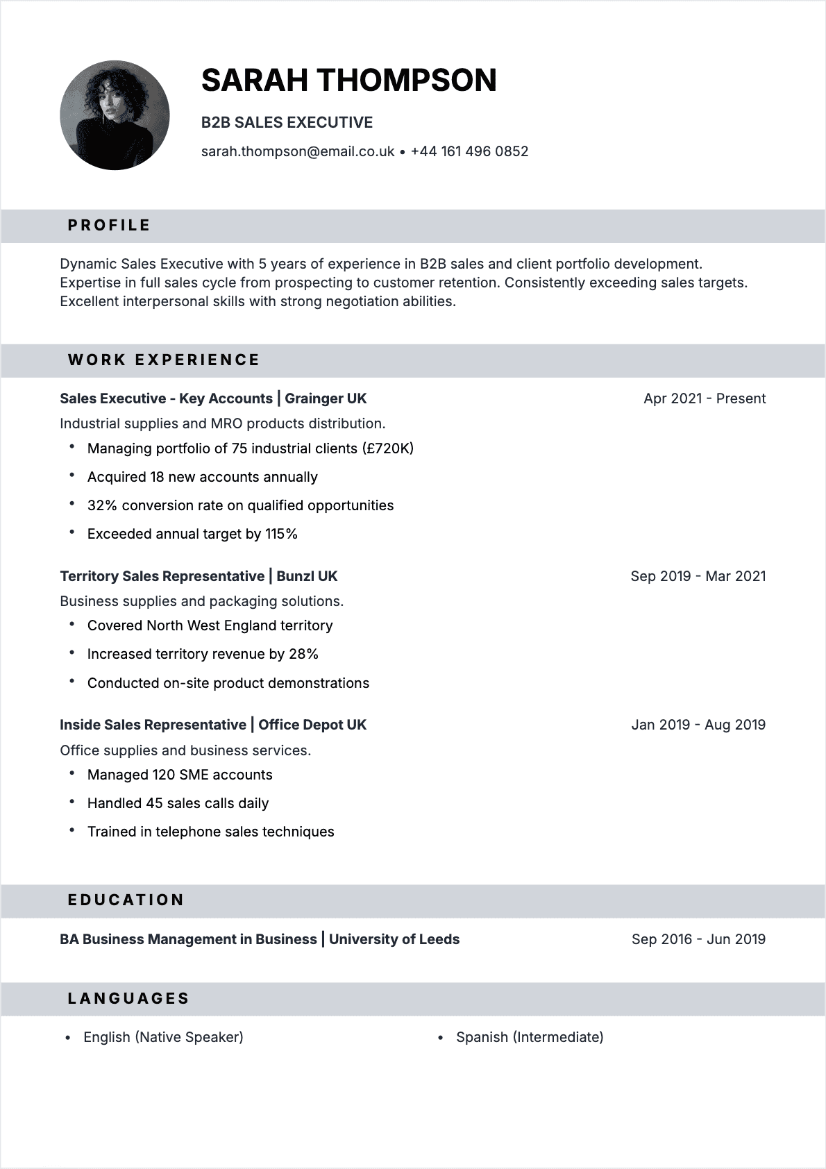 Sales Representative resume example