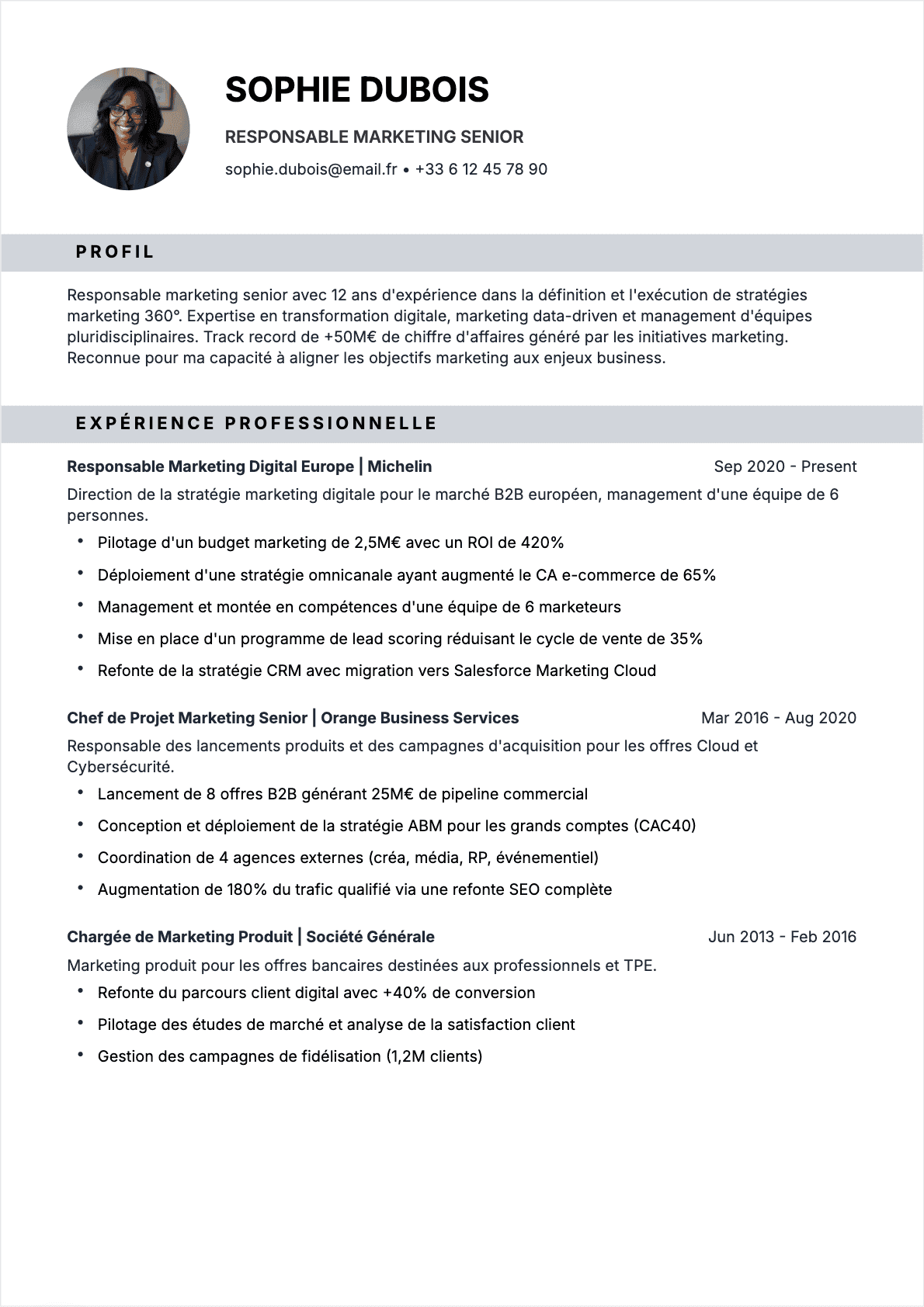 CV Chargé de marketing Senior - CV Chargé de marketing