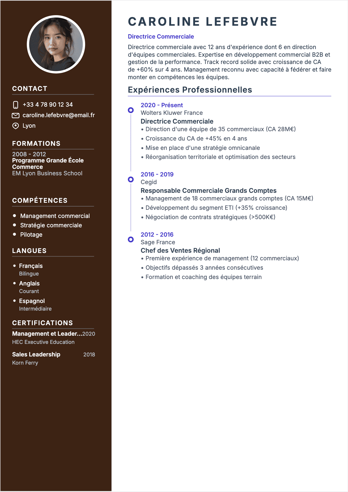 Directeur commercial Confirmé - CV Directeur commercial