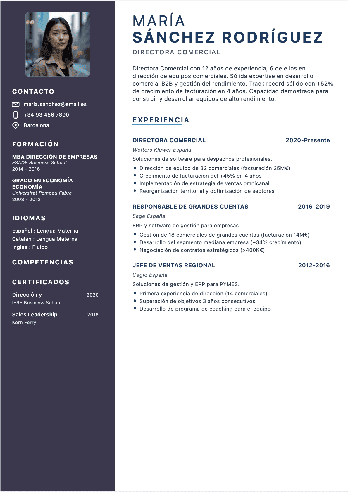 CV Director comercial