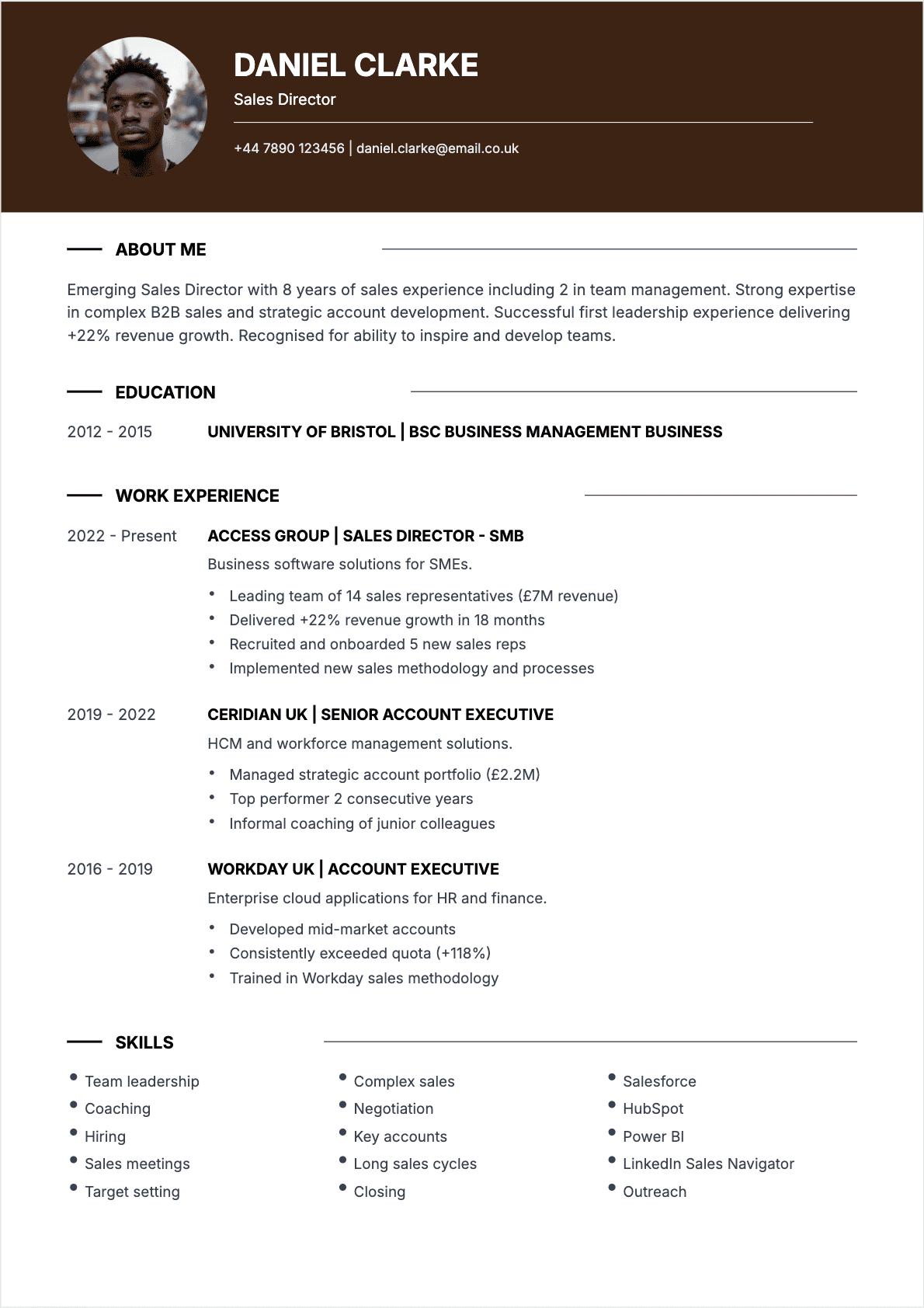 Resume Sales Director Junior - Sales Director Resume