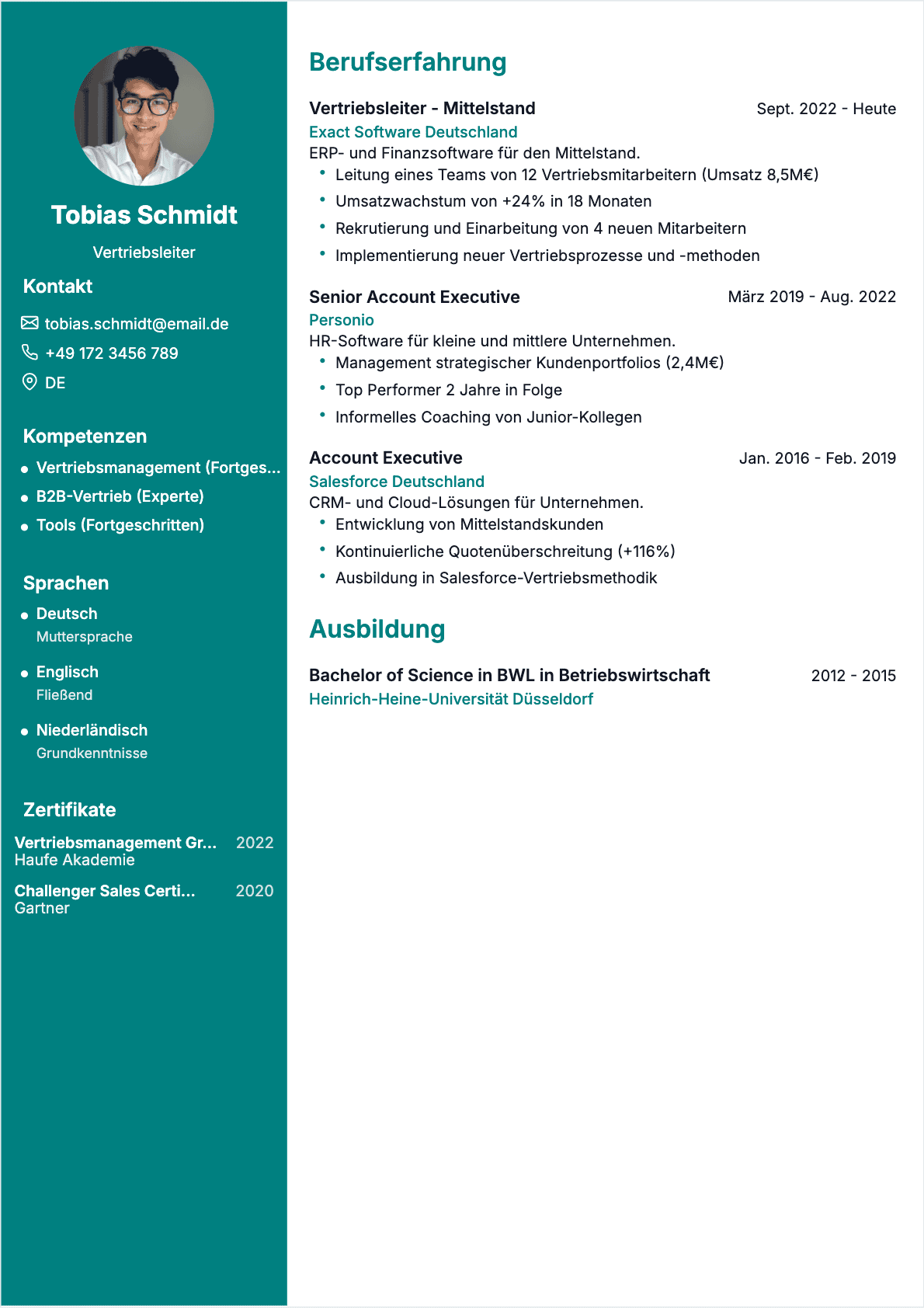 CV Vertriebsleiter Junior - Vertriebsleiter Lebenslauf