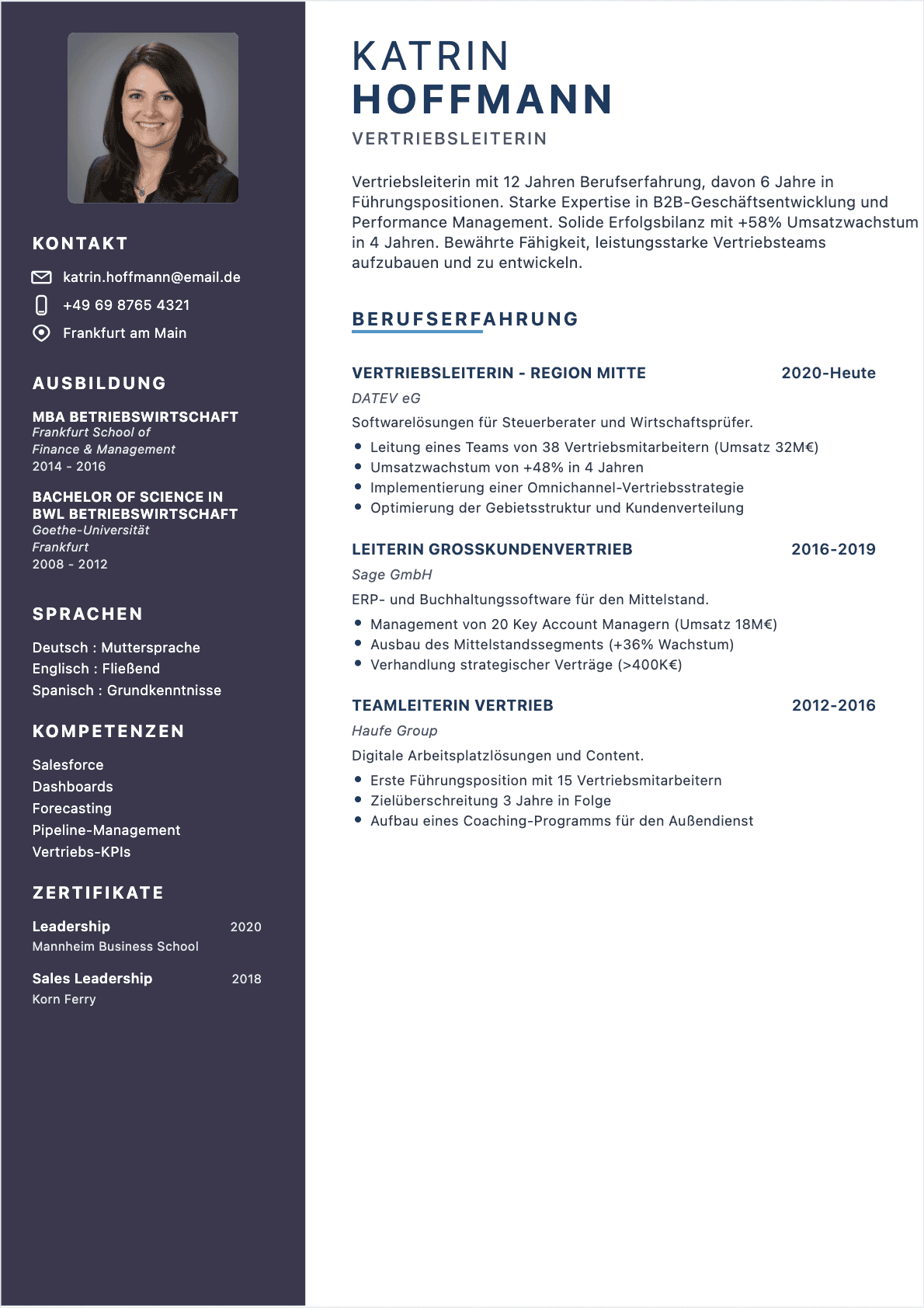 Vertriebsleiter Confirmé - Vertriebsleiter Lebenslauf